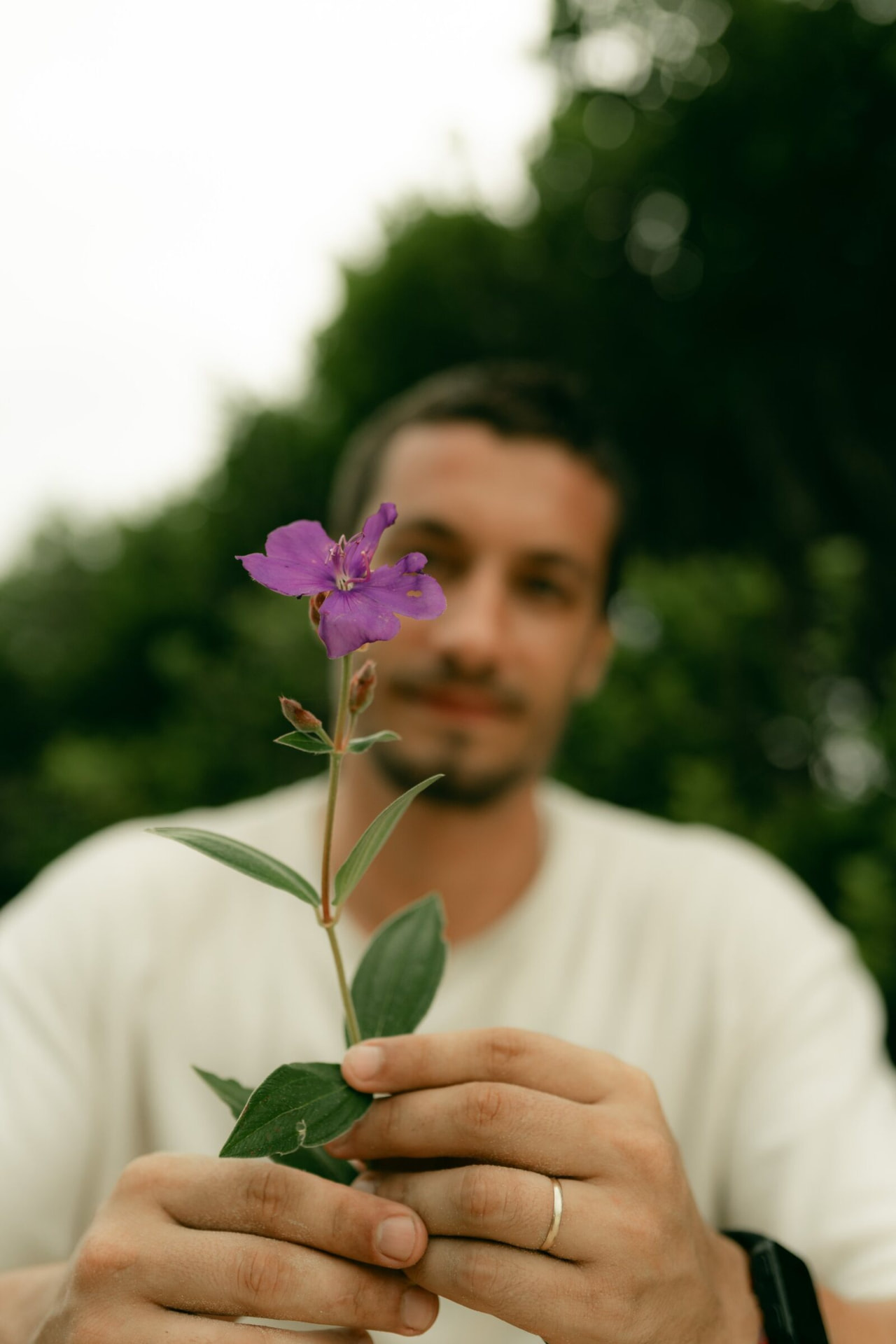 Mezomo segurando uma flor lilás